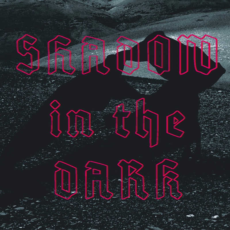 NNHMN - Shadow in the Dark / CD
