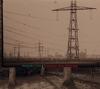 Moljebka Pvlse/Seventeen Migs Of Spring : Ravha/Electricity / CD