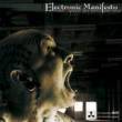 V.a. - Electronic Manifesto / DCD