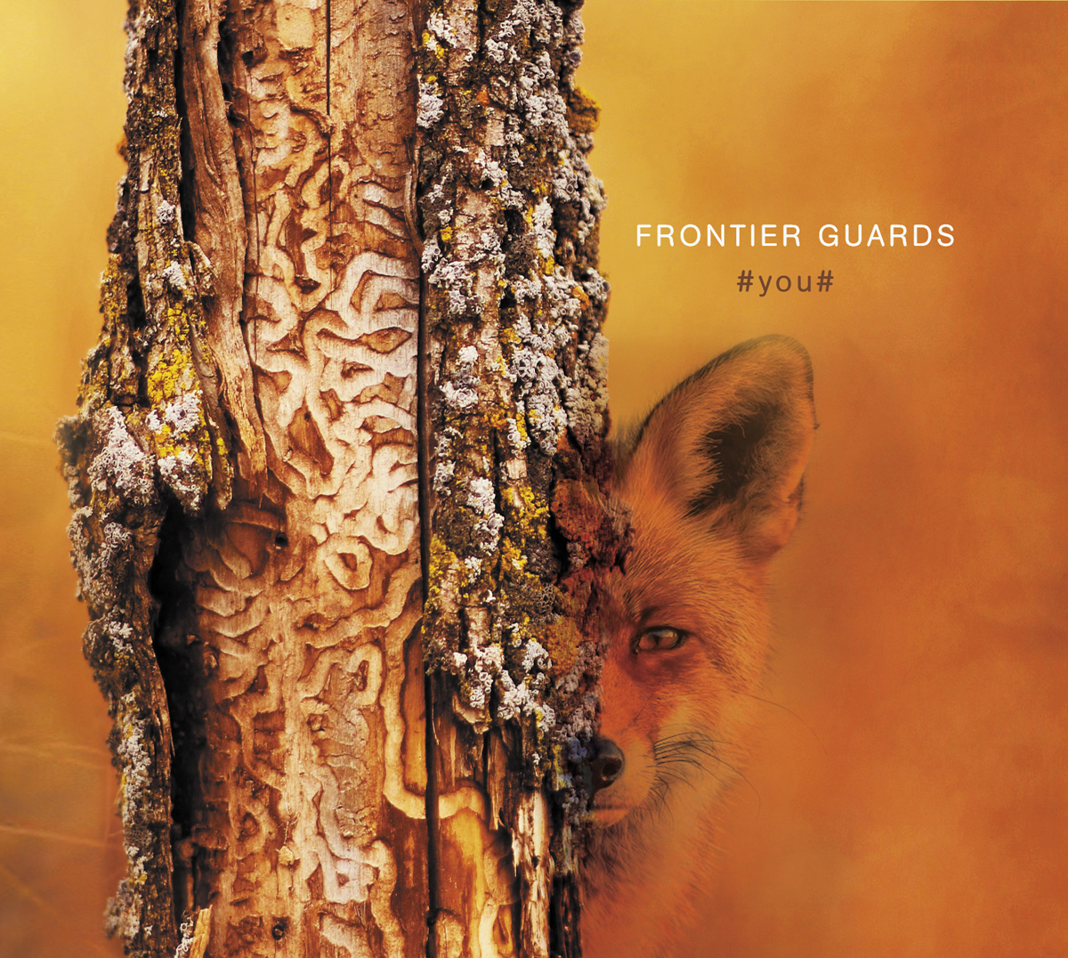 Frontier Guards - You / CD SOLD OUT!